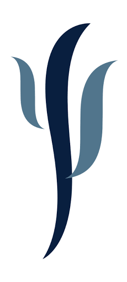 Logo Livre Trânsito